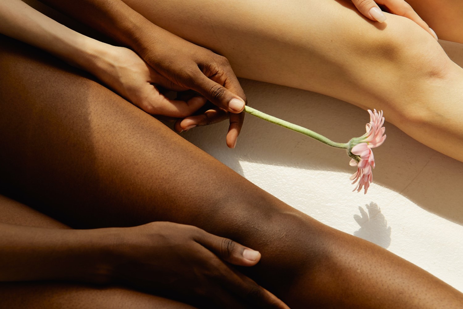 Your Hair. Your Choice. Our Products